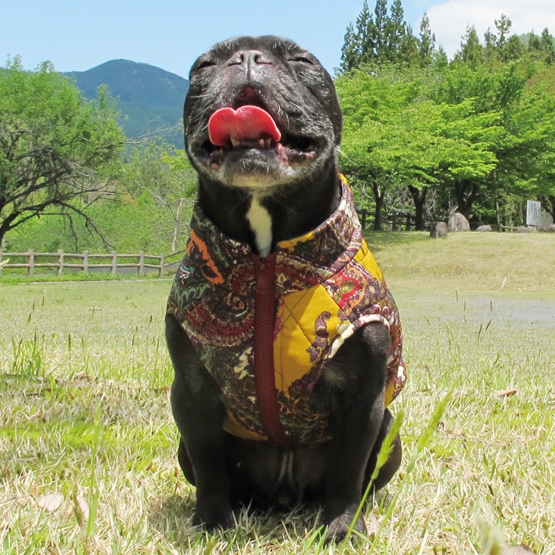 ڥ꡼٥ȡڰΤߥ᡼زġ