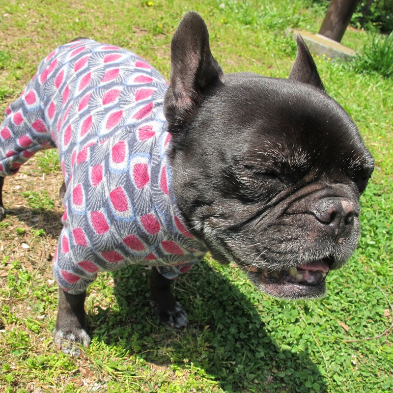 �����ߤ����ʵ��ӥ˥åȥ����Ĥʤ��ڰ���Τߥ᡼���زġ�