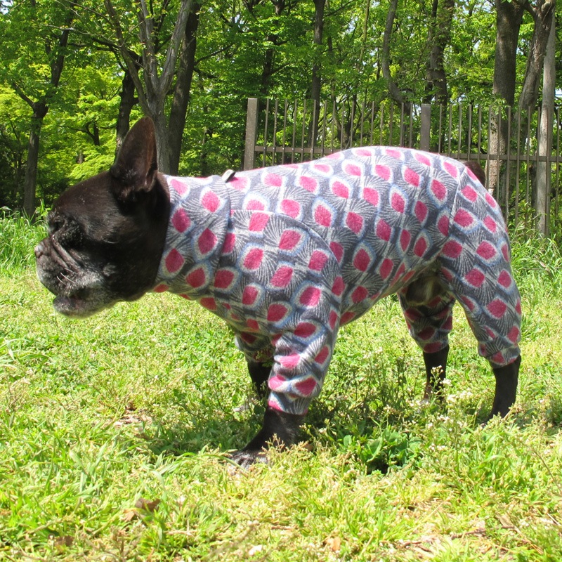 �����ߤ����ʵ��ӥ˥åȥ����Ĥʤ��ڰ���Τߥ᡼���زġ�