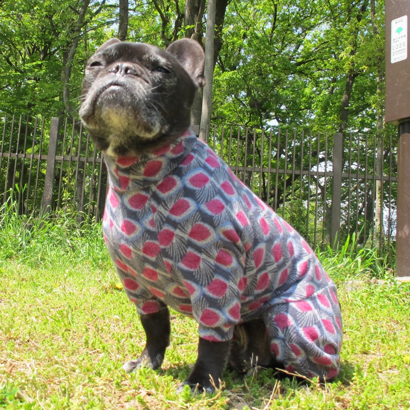 �����ߤ����ʵ��ӥ˥åȥ����Ĥʤ��ڰ���Τߥ᡼���زġ�