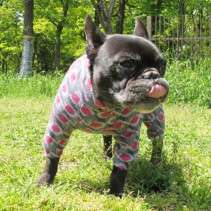 �����ߤ����ʵ��ӥ˥åȥ����Ĥʤ��ڰ���Τߥ᡼���زġ�