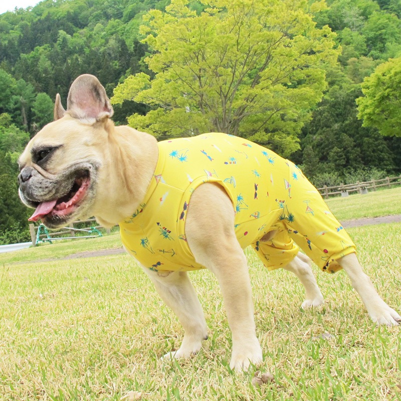 ߲ƤĤʤڲƤĤʤ2orƤĤʤ1T()1ϥ᡼زġ