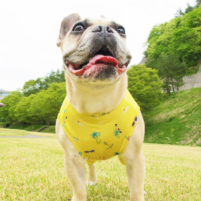 ߲ƤĤʤڲƤĤʤ2orƤĤʤ1T()1ϥ᡼زġ