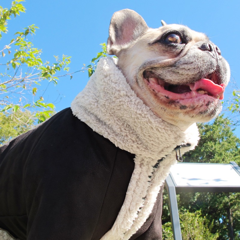 �饤���������㥱�åȡڥ᡼�����Բġ�