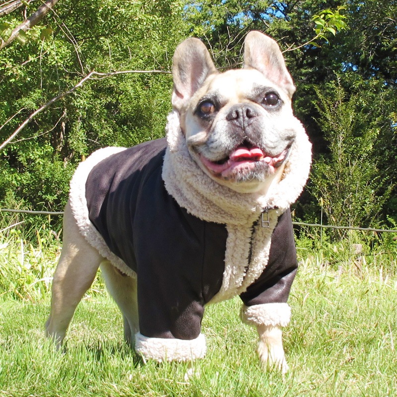 �饤���������㥱�åȡڥ᡼�����Բġ�