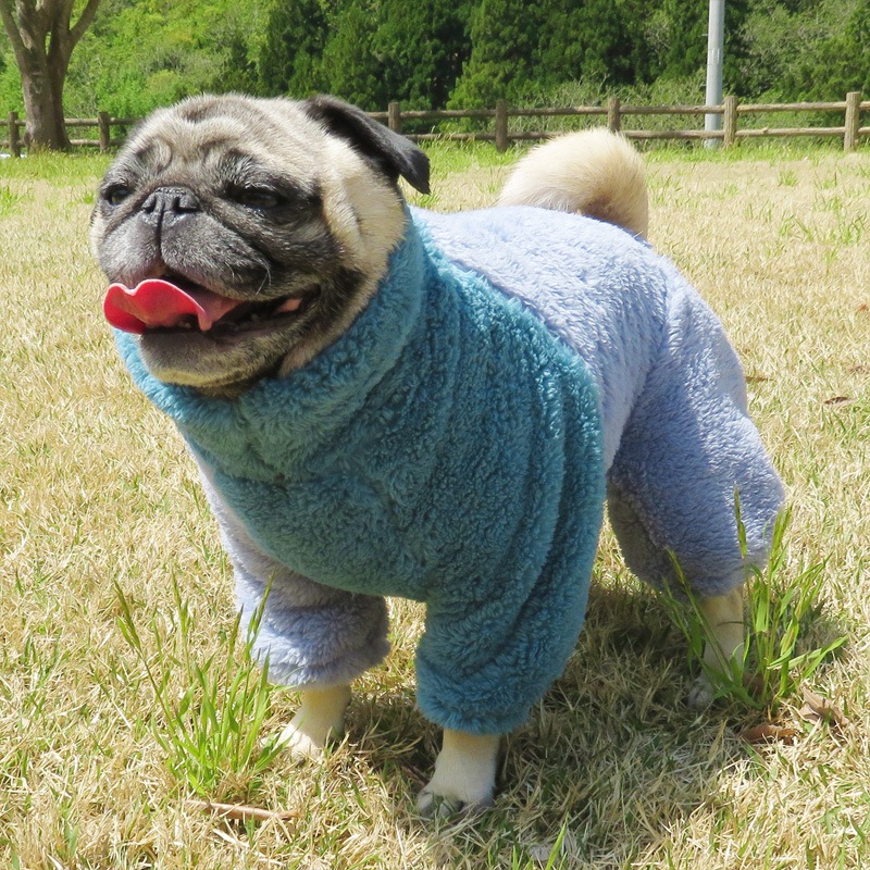 ������ۤĤʤ��ʥ֥롼�ߥ֥롼�ˡڥ᡼�����Բġ�