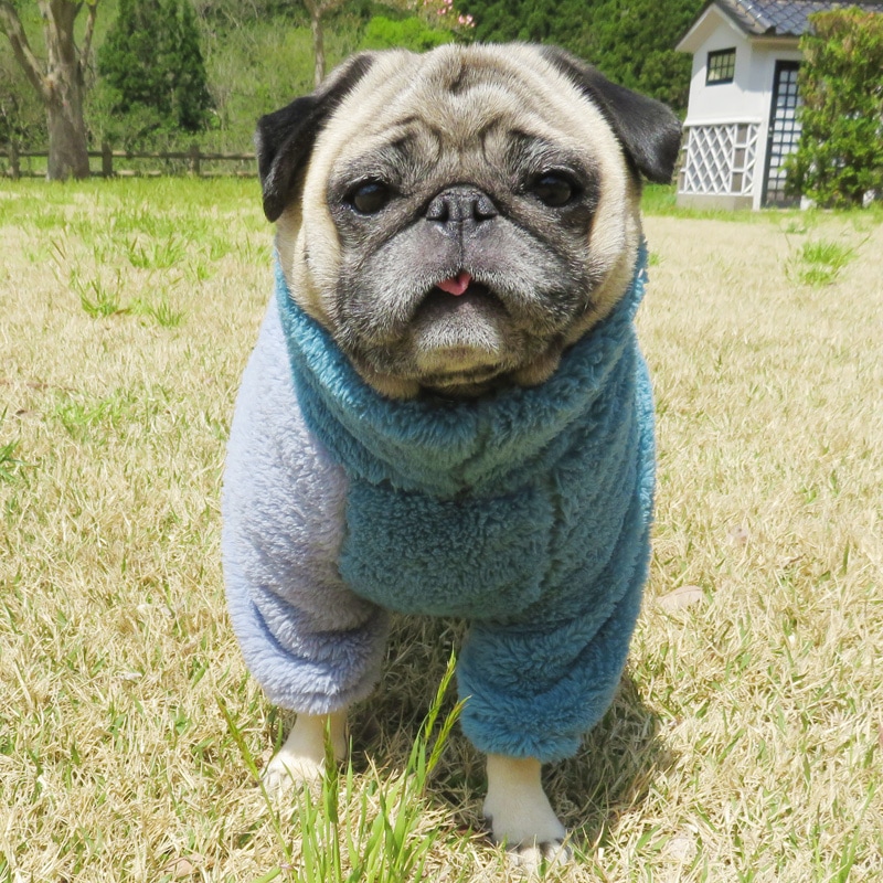 ������ۤĤʤ��ʥ֥롼�ߥ֥롼�ˡڥ᡼�����Բġ�