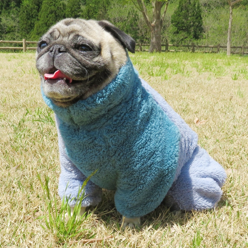 ������ۤĤʤ��ʥ֥롼�ߥ֥롼�ˡڥ᡼�����Բġ�