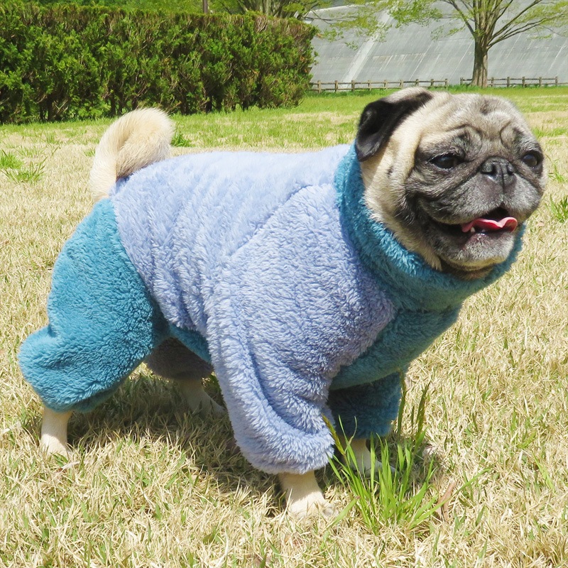 ������ۤĤʤ��ʥ֥롼�ߥ֥롼�ˡڥ᡼�����Բġ�