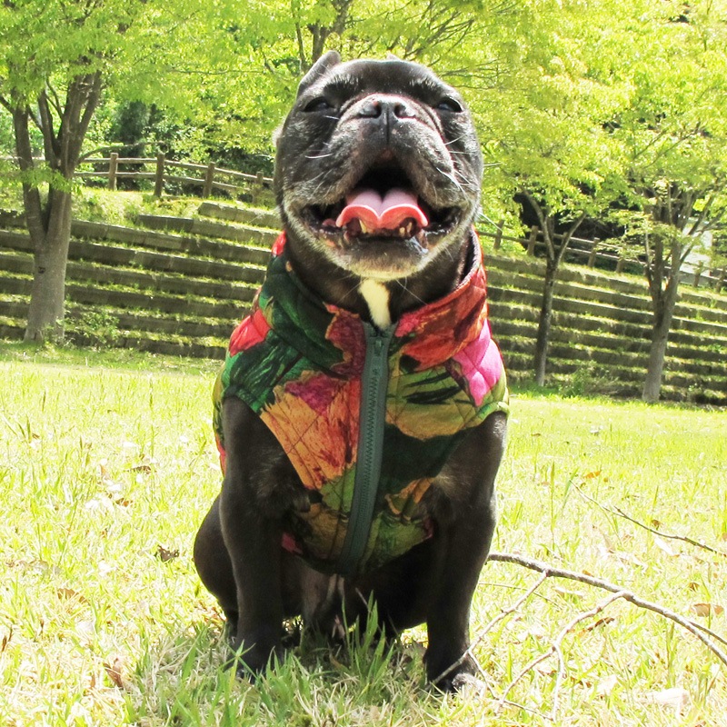 ߤʲ٥ȡڰΤߥ᡼زġ