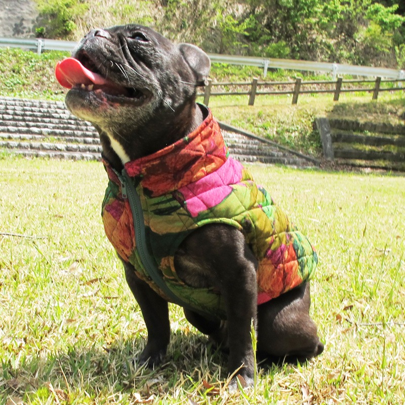 ߤʲ٥ȡڰΤߥ᡼زġ