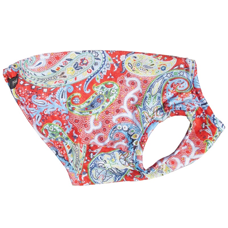 �İ��������ʤ��ݥåץڥ����꡼���󥯥ȥåס�T�����2��or���󥯥ȥå�1���T�����1��ϥ᡼���زġ�