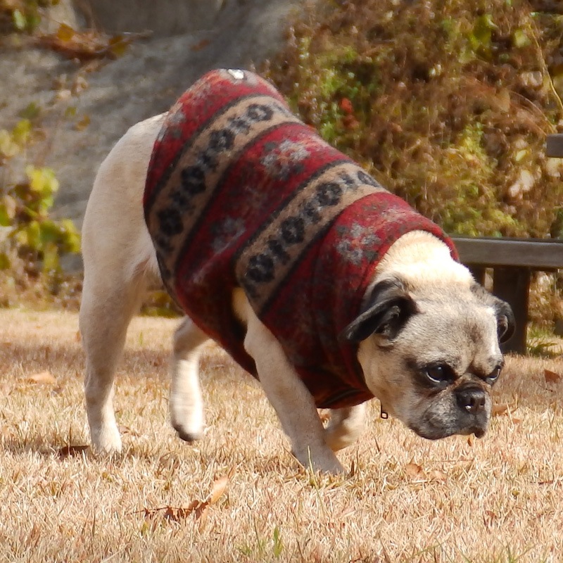 ͥͥƥ٥ȡڰΤߥ᡼زġ