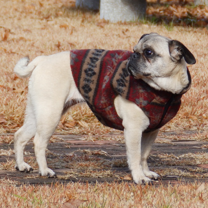 ͥͥƥ٥ȡڰΤߥ᡼زġ