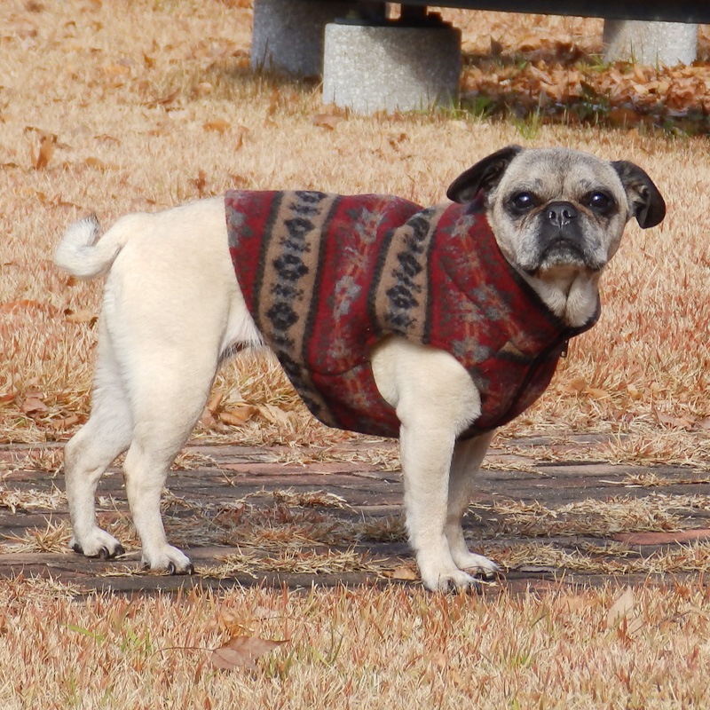 ͥͥƥ٥ȡڰΤߥ᡼زġ