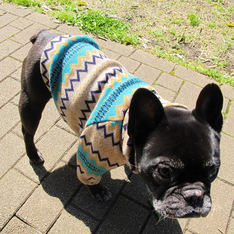 ����ȥ饹�ȥ��顼�Υ����������������ڰ���Τߥ᡼���زġ�