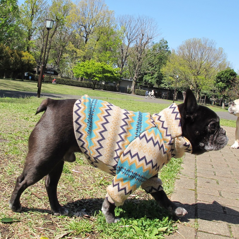 ����ȥ饹�ȥ��顼�Υ����������������ڰ���Τߥ᡼���زġ�