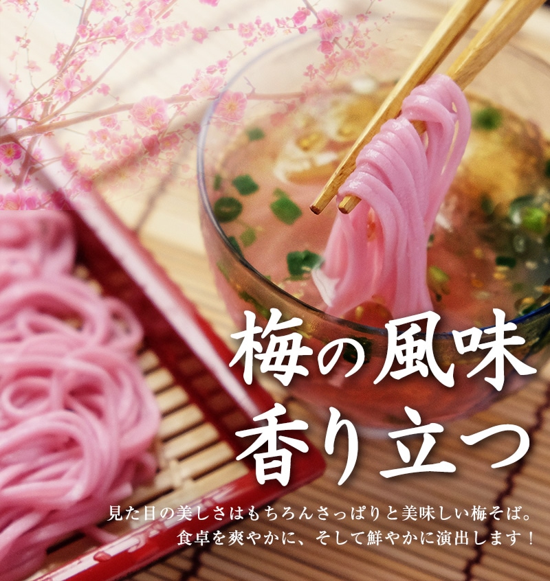 紀州 梅ざるそば 500g（5人前 めんつゆ付）ご家庭用<br>【全国送料無料