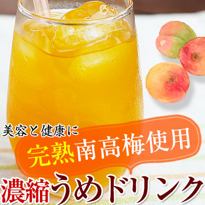 完熟梅 完熟梅 中玉 約1kg | 青森産 - 小沢田観光果樹園 | 南部町のりんご