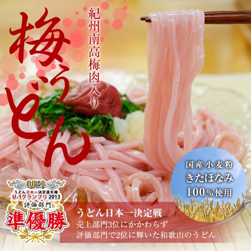 父の日 紀州梅うどん 4食めんつゆ付 冷やしうどん、かけうどんが選べる