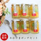 くりぃむクイズ！ミラクル9 紹介 プレゼント スイーツ ギフト おしゃれ かわいい お菓子 送料無料 食べ物 健康 スイーツセット グルメ ゼリー わかやまポンチ6個入 日本ギフト大賞受賞！和歌山県認
