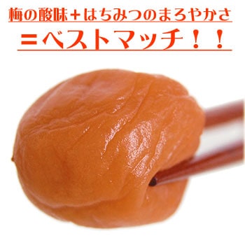ぼーちゃん10kg 無添加 自家製 梅干し 紀州みなべの南高梅 ご家庭