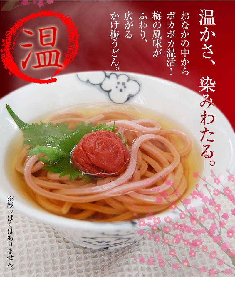 和み抄　お中元　お歳暮　詰合せ　稲庭うどん　すりごま　うどんスープ　紀州南高梅 食品 和み抄 お中元 お歳暮 詰合せ 稲庭うどん すりごま うどんスープ