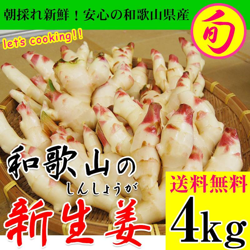 和歌山県産　農薬不使用　新生姜10kg 000000000208_szLVkM9.jpg
