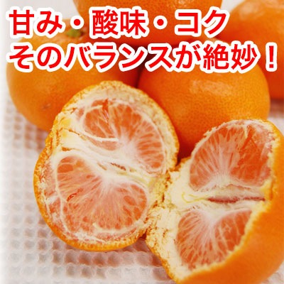 ❤︎小玉❤︎人気No. 1 有田みかん10kg SSサイズ★【木なり完熟】味自慢 10kg(箱込み) 】 厳選絶品 小玉 有田みかん ｜ 果物/温州みかん 産直