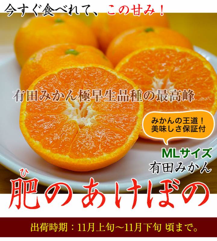 みかんの気持ち様御購入品 2025年 ご予約開始 有田みかん極早生品種の最高峰！<br>幻のみかん「肥