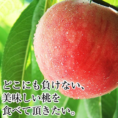 ご予約開始<br>和歌山県産あら川の桃 13玉入(約4kg)<br>3L～4L