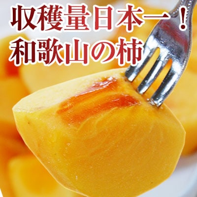 和歌山のたねなし柿 約2kg<br>中谷早生柿（なかたにわせ）、刀根早生柿 