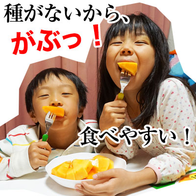 和歌山のたねなし柿 約2kg<br>中谷早生柿（なかたにわせ）、刀根早生柿 
