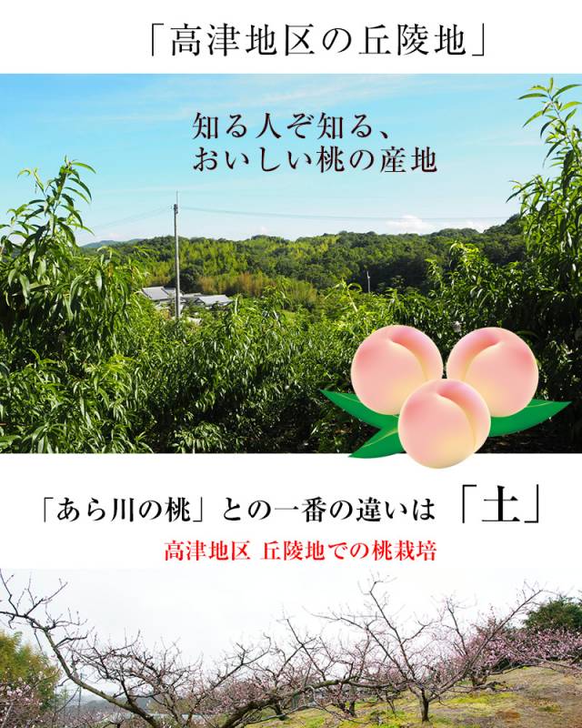和歌山県産高津の桃（川中島白桃）<br>約4kg 4L 12～13玉<br>光