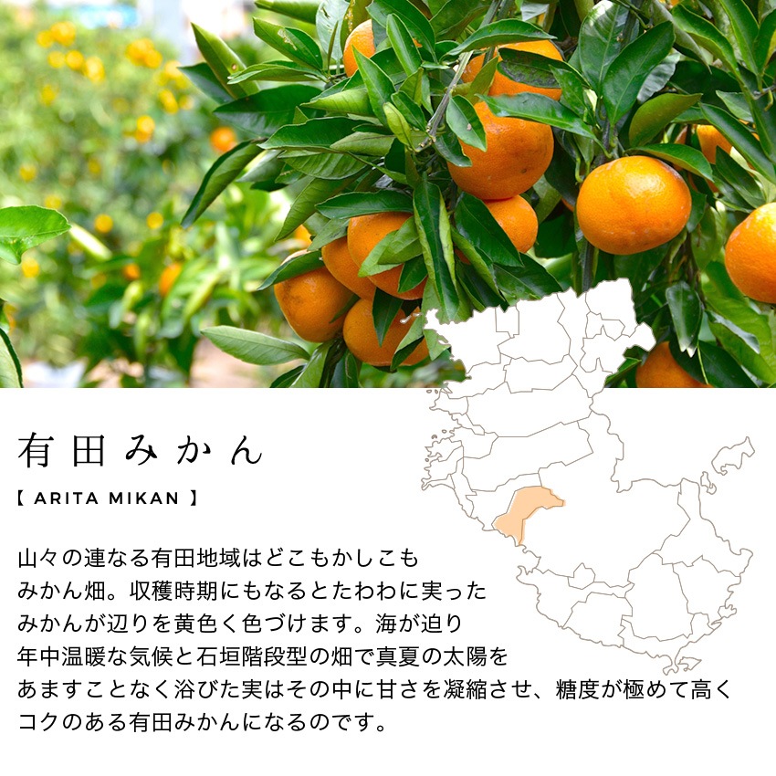 専用⭐みかん❤ふわとろっ超暖か❤特大ブランケット❤刺繍お星