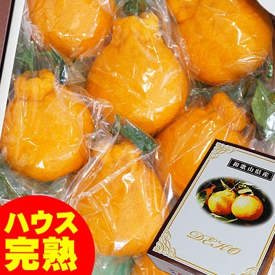 ハウス栽培の完熟デコポン「甘デコ」 <BR>和歌山県産【送料無料