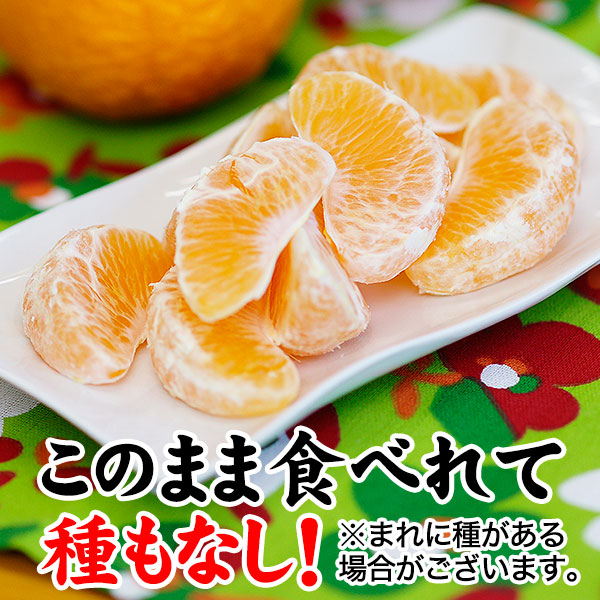 ...　和歌山県産　<br>サイズ不揃い、多少の傷有り　ご予約開始【値上げ前に！特価価格5,439円。終了後5,724円】<br>ご家庭用　無添加あんぽ柿や梅うどん、お得な梅干し、野菜に　不知火（デコポン）<br>露地栽培の樹上完熟デコポン　7kg（約28玉）<br>送料無料※北海道、沖縄除く