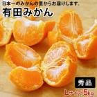 ΥޥݤẠ̊́ͭĤߤ ̥ 5kg <br>̵̳ƻ Ṭ̌ʽʤΤߡ<br>ˤ⤪ĺ륮եȤǤ<br>12ˤʸ˽缡ȯޤʻԲġ
