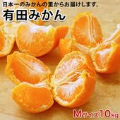 2025年 ご予約開始 低農薬、自然のマルチ栽培で作る美味しい有田みかん Ｍサイズ 10kg  送料無料（北海道、沖縄を除く） 甘くて美味しい蜜柑 11月下旬からご注文順に順次発送（指定日不可）|送料