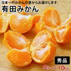 ΥޥݤẠ̊́ͭĤߤ ӥ 10kg <br>̵̳ƻ Ṭ̌ʽʤΤߡ<br>ˤ⤪ĺ륮եȤǤ<br>12ˤʸ˽缡ȯޤʻԲġ