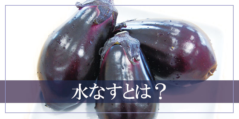 水なす 水茄子 水ナス 自然の風味をぎゅっと詰め込んだ 泉州産のふみ  