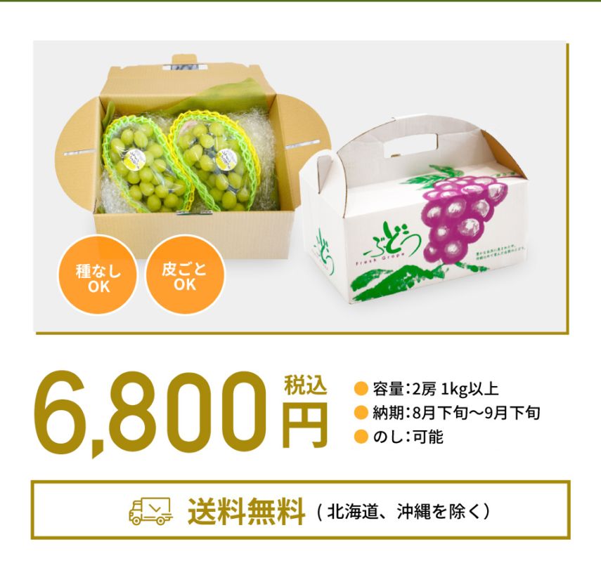 2025年 ご予約受付中 シャインマスカット 1kg以上 (約500g×2房入）<br