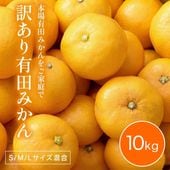 2025年 ご予約開始 本場有田みかんをご家庭で手軽に お得な 家庭用有田みかん S M Lサイズ混合 10kg 【11月下旬より順次出荷】