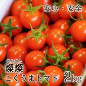 2026ǯ ��ͽ�󳫻� �²λ����� �ߥ˥ȥޥ� �����ʤ��󤵤�ˤ������ޥȥޥ� ��2kg ������ ���������� ���� �ߥ˥ȥޥ� �Ť� �ե롼�ĥȥޥ� ����Τ ����ľ�� ������ ��1����ܺ�����缡�в١�