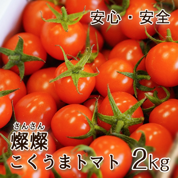 ご予約受付中 和歌山県産 ミニトマト 燦燦（さんさん）こくうまトマト