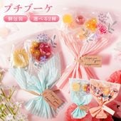 �ۥ磻�ȥǡ� ���ۤ� ���� ��ˤ� ���ե� �ץ����ե� �࿦ ���� ���� �ۤ��� �ץ��֡��� �ե��ʥ󥷥� ���٤륫�顼 ��å����������� 4���åȤޤǥͥ��ݥ���