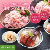 �񻺤��ʤ����ƥ��åȤ��ߤˤ�ˤ����åȡھﲹ�۹�Ф������ˡ��� ���Ĥ� �ˤ�ˤ��λݤߤ����ߤ����륹���ߥ�Ч���å� ��������̵�� �ݥ�����ȡ �ץ����ե�