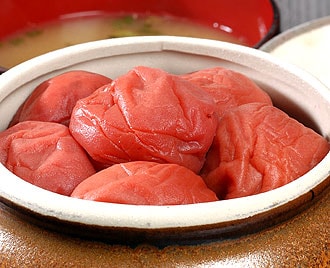 �����ι�꤬���ߤ򤽤���<br>�Τʤ���Τ��äѤ��ߴ���<br>�����ѵ�������ߴ��� �������� 1.5kg<br>����̵�����̳�ƻ���������