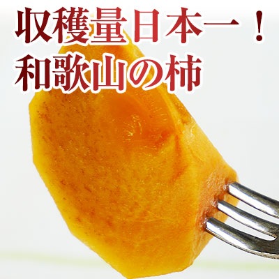 2025ǯ ��ͽ�������<br>�²λ��γ� ��ͭ�������Ρ������� ��4kg��16��20�������<br><br>����̵�� �������ϰ����<br><br>���������ѤΤ������ʴų�����ͭ���ʤդ椦�����ˡ�<br>���郎�������ޤ���<br>��12���ܤ���ν缡�в٤Ǥ���