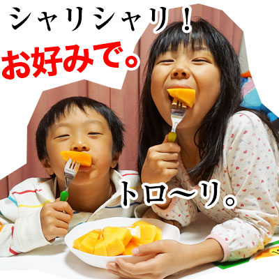 2025ǯ ��ͽ�������<br>�²λ��γ� ��ͭ�������Ρ������� ��4kg��16��20�������<br><br>����̵�� �������ϰ����<br><br>���������ѤΤ������ʴų�����ͭ���ʤդ椦�����ˡ�<br>���郎�������ޤ���<br>��12���ܤ���ν缡�в٤Ǥ���